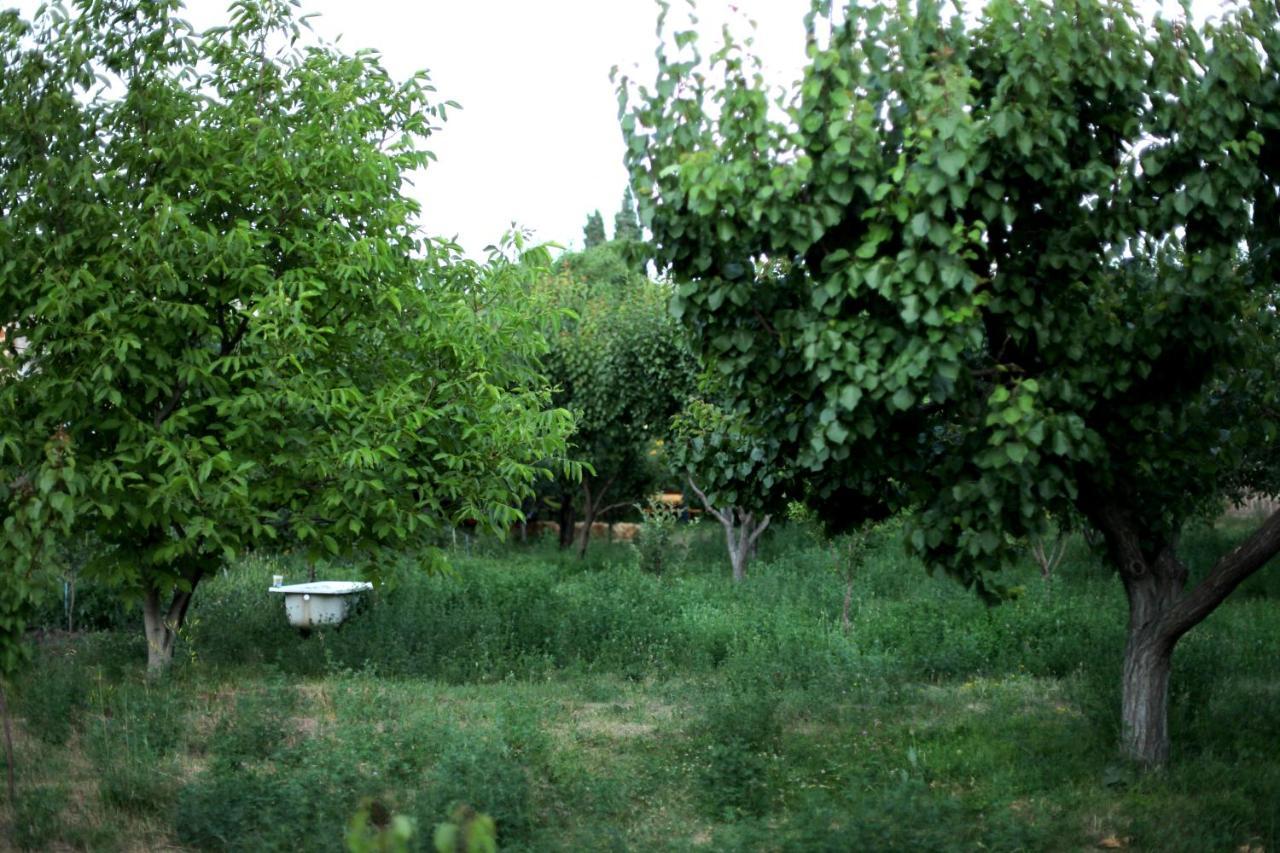 Noosh Guesthouse Ashnak Esterno foto