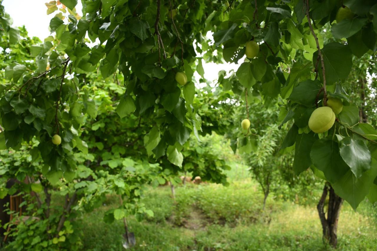 Noosh Guesthouse Ashnak Esterno foto